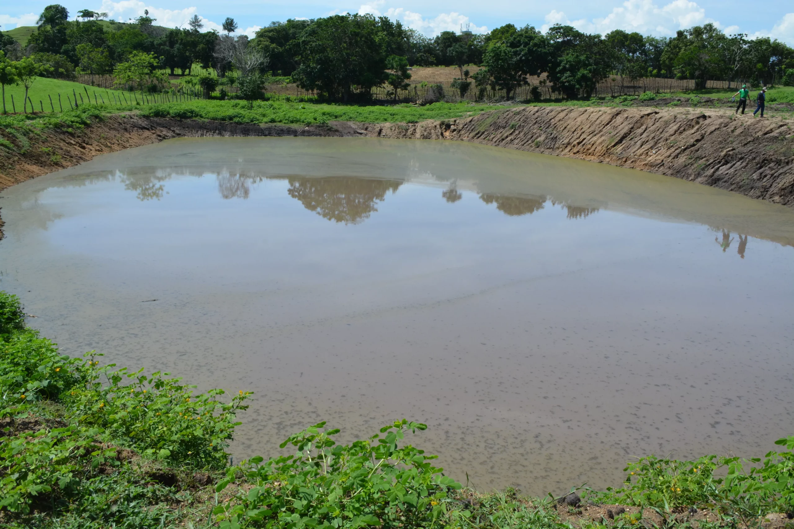 Gobierno construye más de 50 lagunas para ganaderos y productores de El Pino