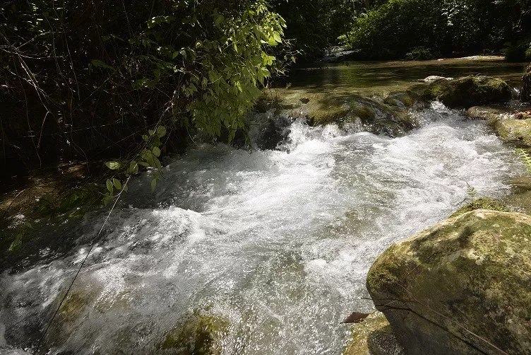 Medio Ambiente realizará estudio sobre balance hídrico en Sierra Bahoruco