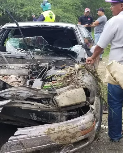 Nueve muertos deja un  accidente en Navarrete