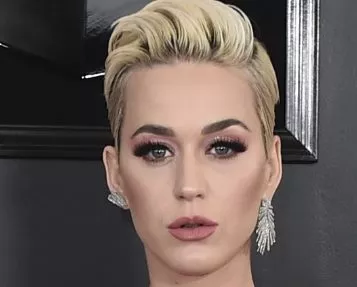 Katy Perry fue culpada de plagio