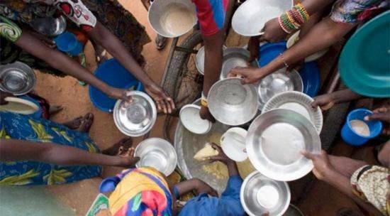 FAO: “América Latina necesita más integración para enfrentar el hambre»