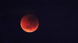 Dónde y cuándo se podrá ver el eclipse parcial de Luna de esta noche