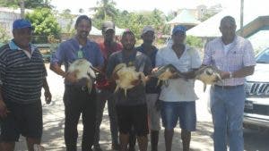 Autoridades liberan en Playa Grande de Luperón cuatro tortugas marinas que estaban en cautiverio