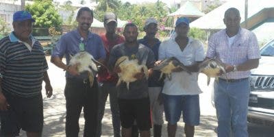 Autoridades liberan en Playa Grande de Luperón cuatro tortugas marinas que estaban en cautiverio