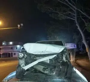 Vacas realengas provocan accidentes de tránsito en Puerto Plata