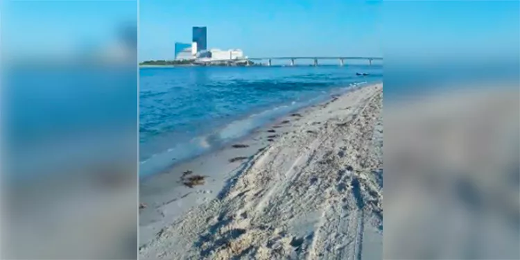 Cierran dos horas una playa de Nueva Jersey (EEUU) por falsa amenaza de bomba