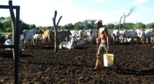 Gobierno toma medidas ante sequía estacional agravada por El Niño