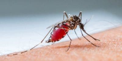 Los dos pacientes positivos a malaria están estables y fuera de peligro