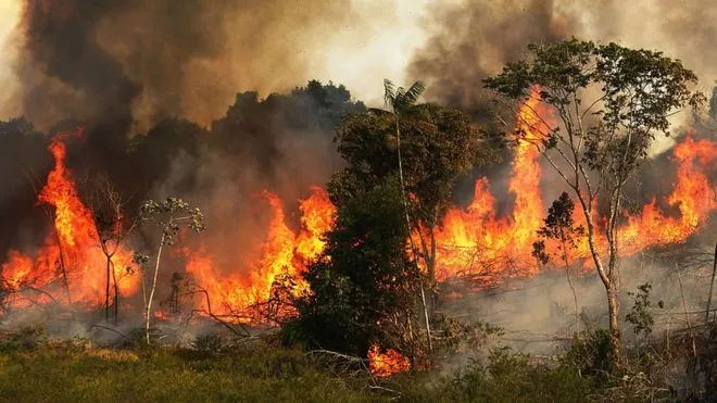 Lo que se sabe de cómo empezaron los incendios que causan estragos en la Amazonía