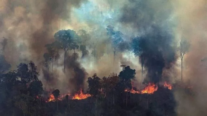 Bolsonaro dice que Brasil aceptará la ayuda de US$22 millones del G7 para los incendios en la Amazonía si Macron retira sus 