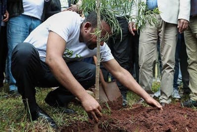 Etiopía planta 350 millones de árboles en un día