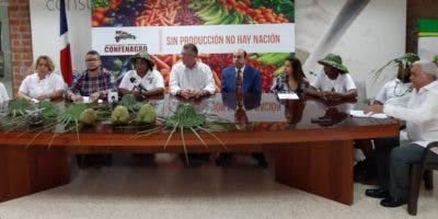 Realizarán en Samaná el Octavo Festival Gastronómico del Coco y el Pescado