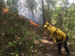 Video: Incendio forestal en Loma de Caribe en Monseñor Nouel