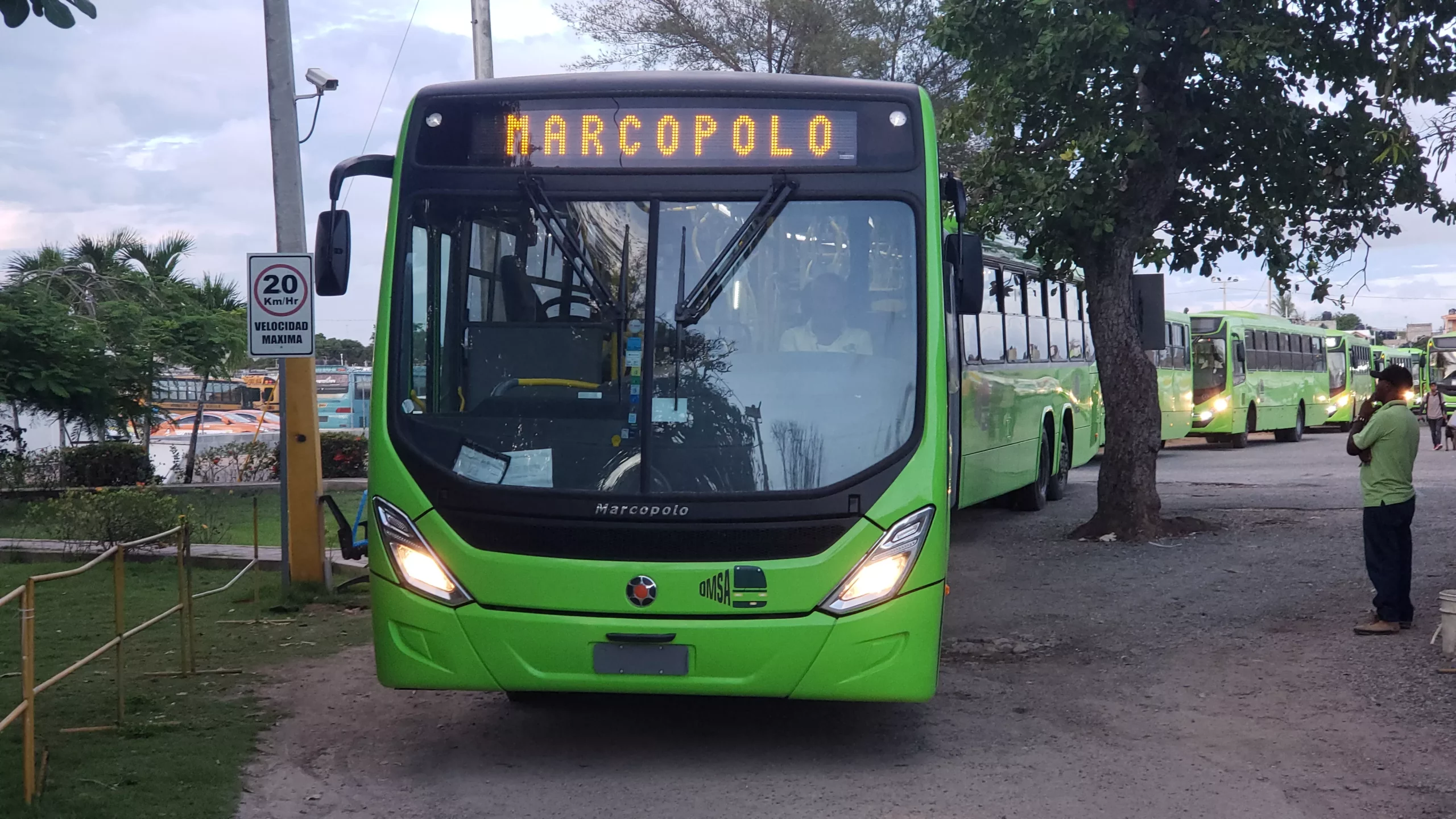 OMSA incorporará nuevos autobuses al servicio en los próximos días