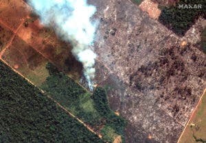 Obispos latinoamericanos urgen a Brasil y Bolivia tomar medidas por incendios