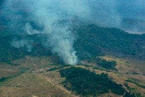 Brasil prohíbe por 60 días el uso de fuego para preparar siembra en Amazonía