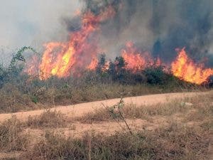 Incendios en la Amazonía: Origen, causas y efectos