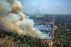 Francia propone un fondo internacional por la Amazonía en lugar del brasileño