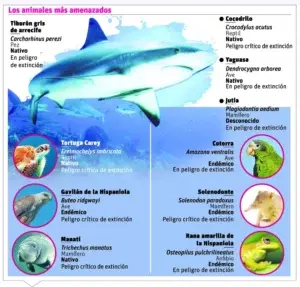 Lista Roja de Fauna República Dominicana registra unas 434 especies con amenaza de extinción