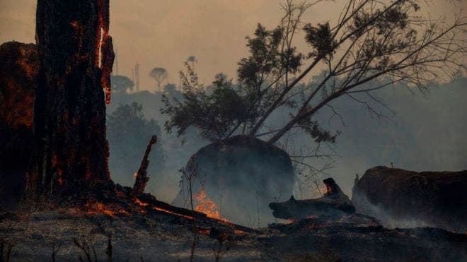 «¿Es cierto que los incendios en la Amazonía son beneficiosos a largo plazo?» Un experto responde las preguntas de los lectores de BBC Mundo