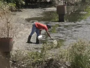 Laguna aguas negras afecta residentes de Las Praderas