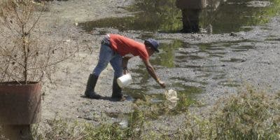 Laguna aguas negras afecta residentes de Las Praderas