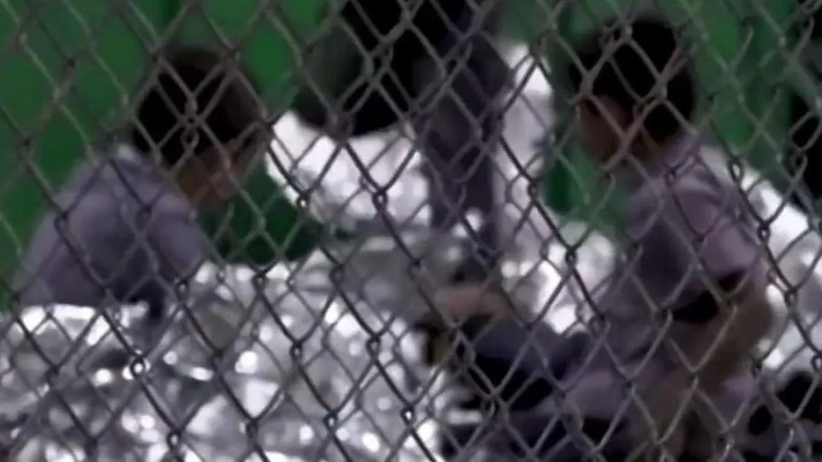 estudio__separacion_de_familias_causo_problemas_de_salud