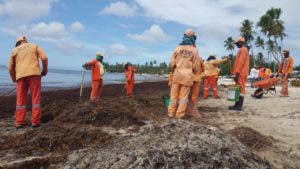 Retiran toneladas de sargazos y desechos sólidos de playas y costas de la región Este