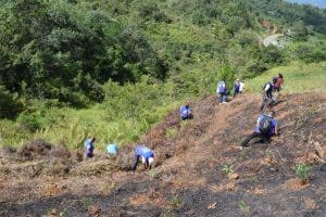 Defensoría del Pueblo realiza  jornada de reforestación en San José de Ocoa