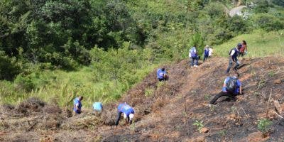 Defensoría del Pueblo realiza  jornada de reforestación en San José de Ocoa