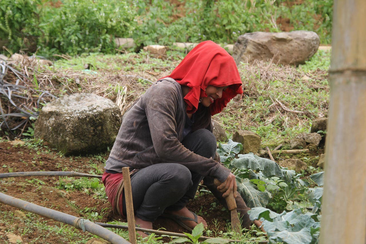 Banco Adopem fomenta desarrollo de la mujer rural con agricultura familiar y empoderamiento