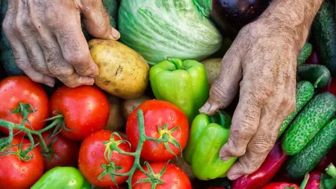 Día mundial de la alimentación: ¿por qué quienes producen comida son los que más hambre padecen?