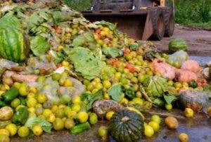 El 14% de los alimentos se pierden luego de cosecha