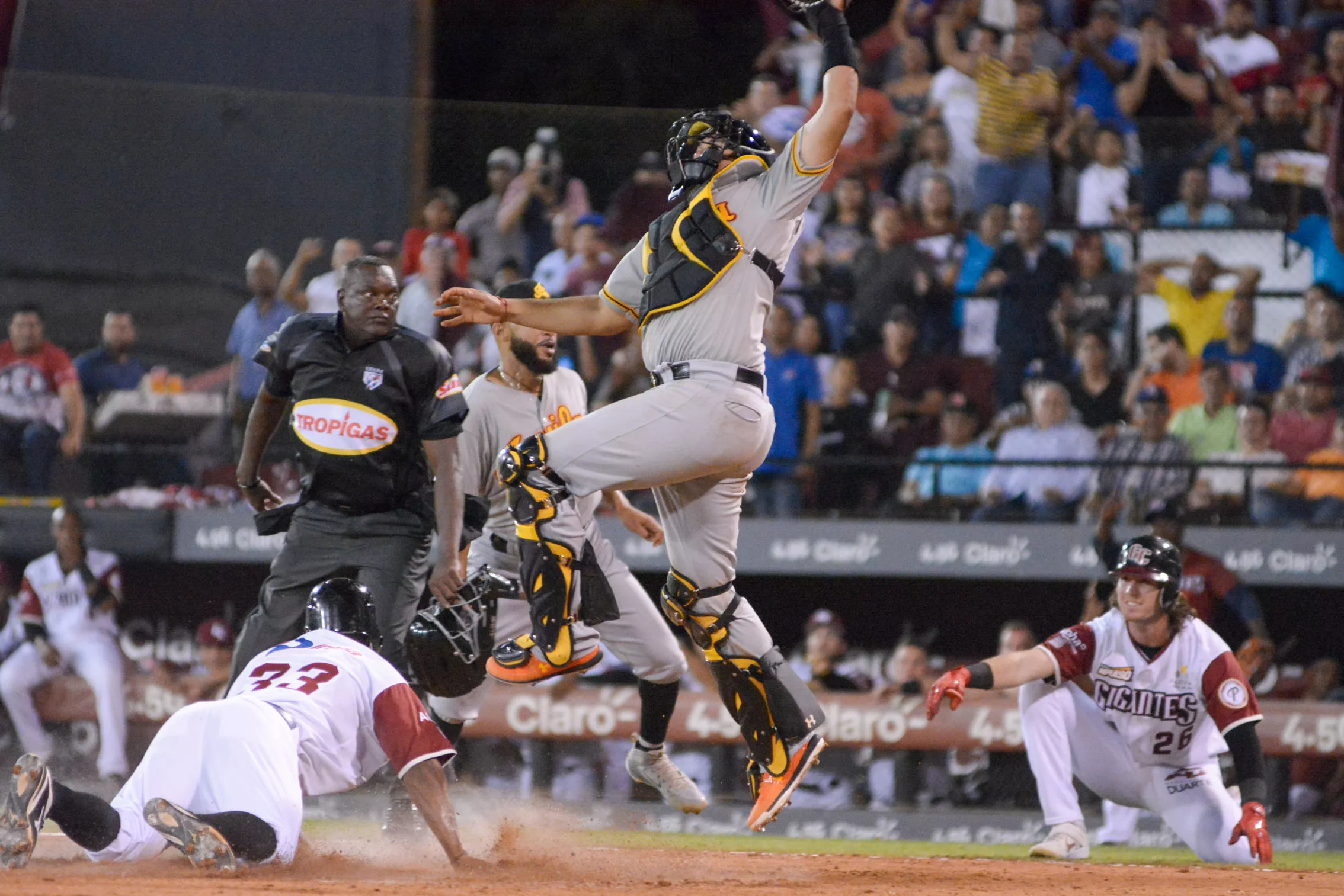 Leones, Estrellas y Gigantes vencen en el inicio del béisbol dominicano