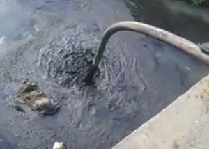 Video: Camión de empresa de pozos sépticos lanza residuos cloacales en río de Santiago