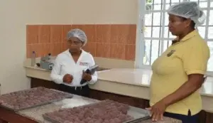 Artesanas cacao piden crédito