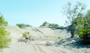 Medio Ambiente investiga denuncia en Las Dunas de Baní