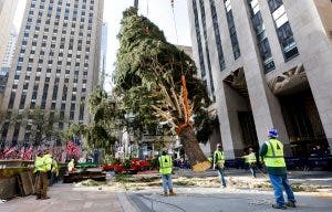 Neoyorquinos reciben con entusiasmo al famoso árbol del Rokefeller Center