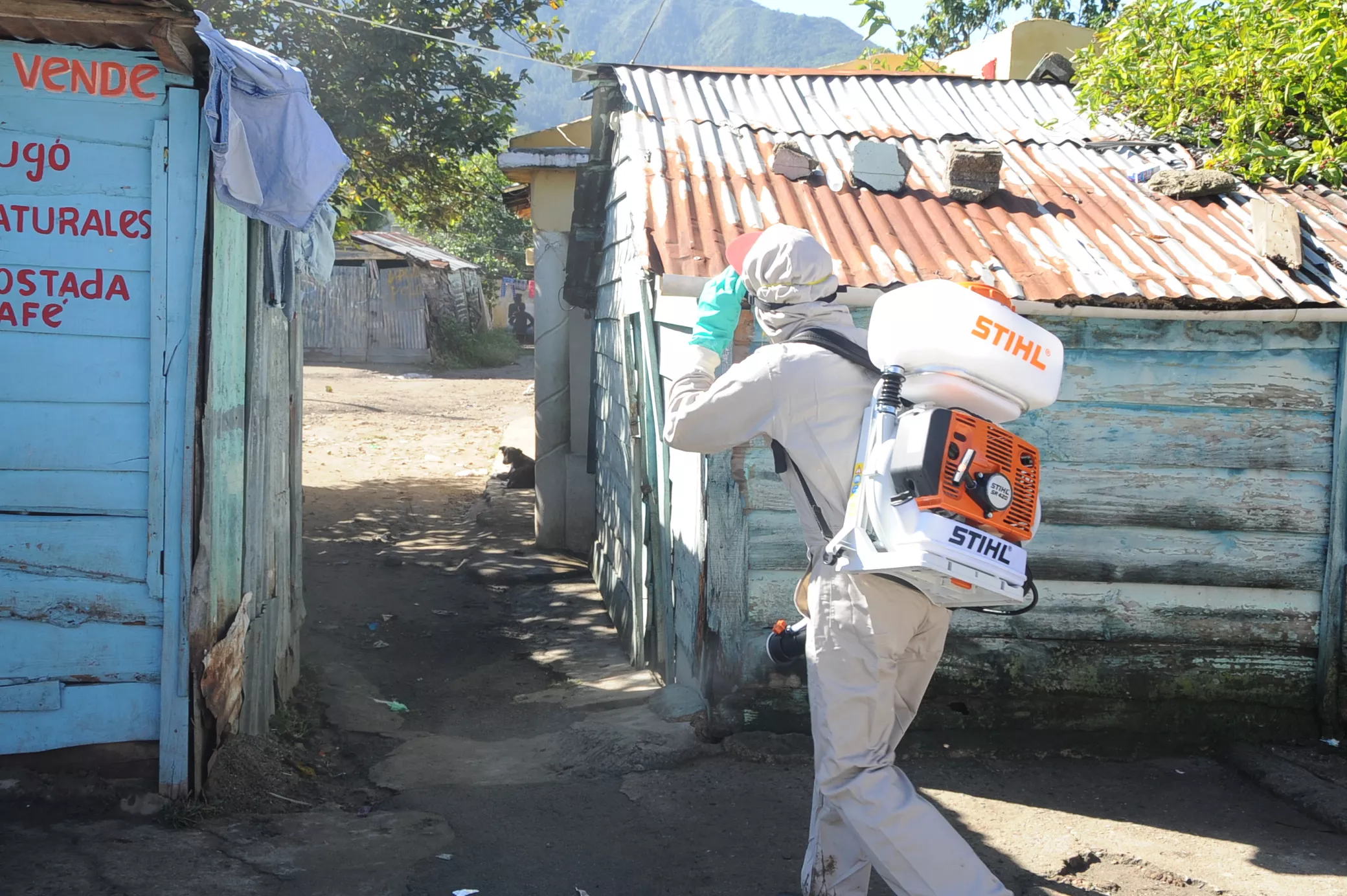 Salud Pública interviene sectores de Constanza por casos sospechosos de dengue