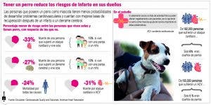 Mascotas están asociadas a la reducción del riesgo de infarto