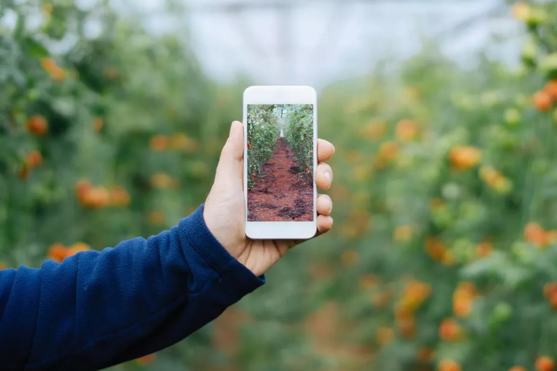 Digitalizar la agricultura, un requisito para comer en el futuro según la FAO