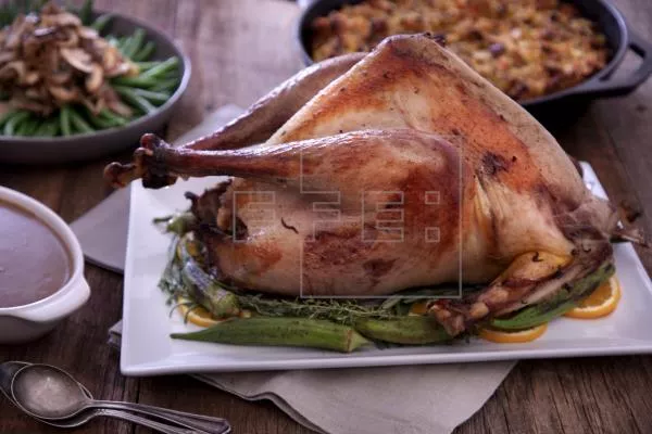 pavo