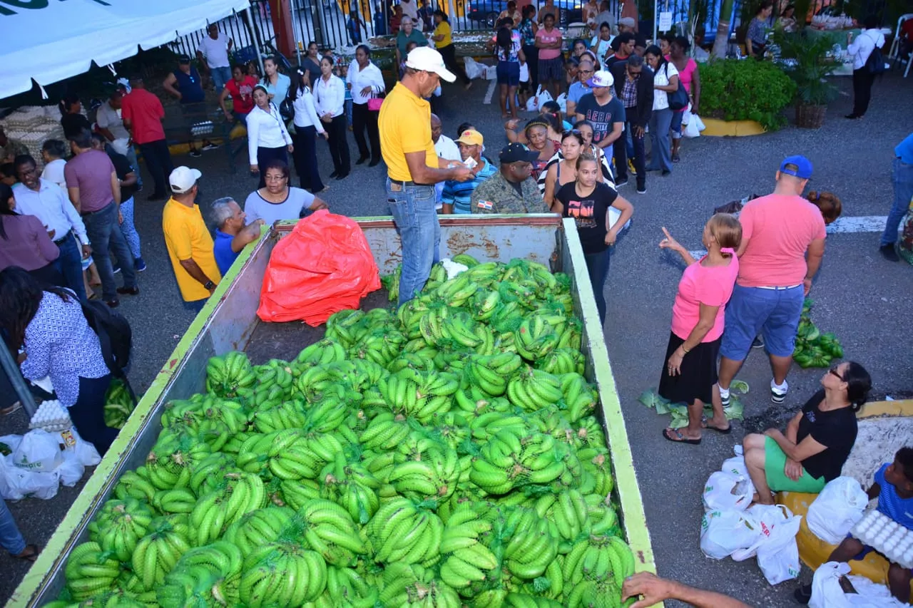 Programa venta de plátanos ejecutado por el Gobierno impacta  216 mil personas