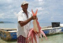 El aumento del 25 % en el precio del pescado preocupa a la FAO