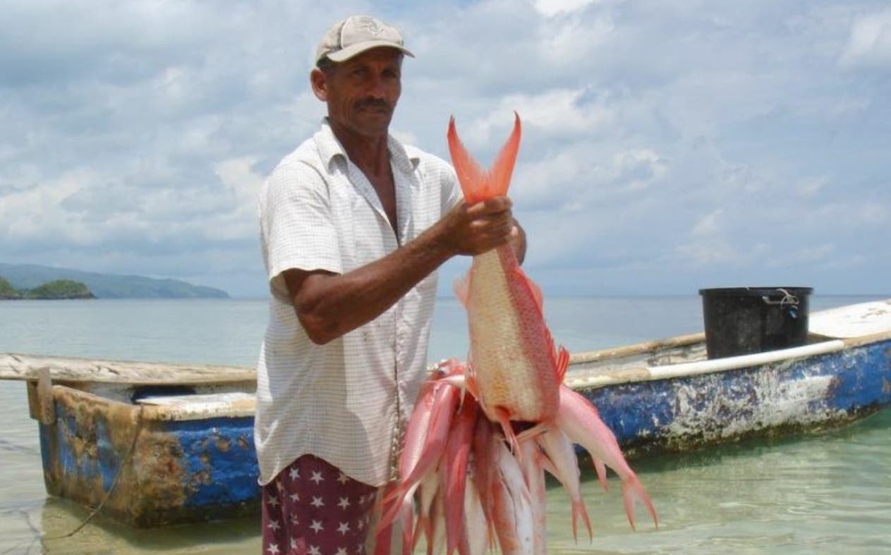 El aumento del 25 % en el precio del pescado preocupa a la FAO