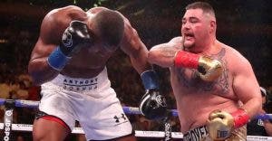 La revancha Joshua-Ruiz  recordará grandes peleas