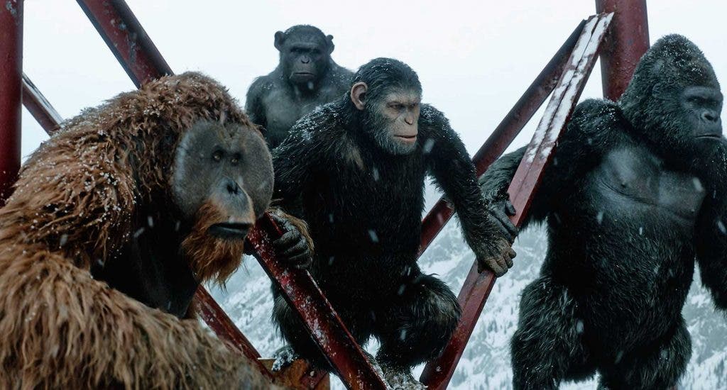 Disney trabaja en una nueva cinta de la saga “The Planet of the Apes»