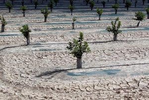 Prevén que la escasez de agua se convertirá en preocupación para el Caribe