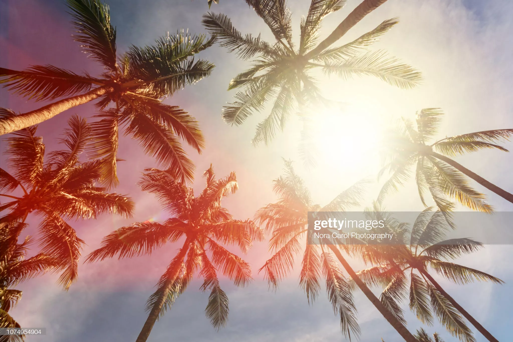 gettyimages-1074954904-2048×2048 gettyimages-1074954904-2048×2048