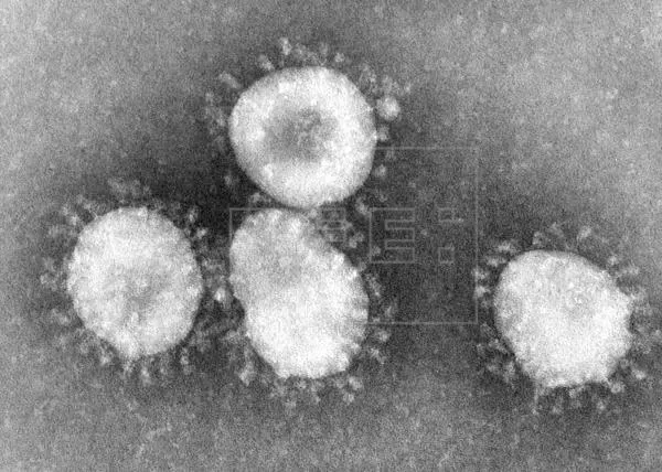 Detectan el primer contagiado por el virus de Wuhan en Estados Unidos